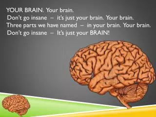 YOUR BRAIN. Your brain. Don’t go insane – it’s just your brain. Your brain.