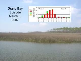 Grand Bay Episode March 6, 2007