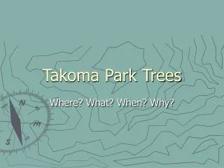 Takoma Park Trees