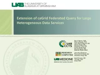 Extension of caGrid Federated Query for Large Heterogeneous Data Services