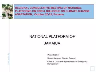 NATIONAL PLATFORM OF JAMAICA