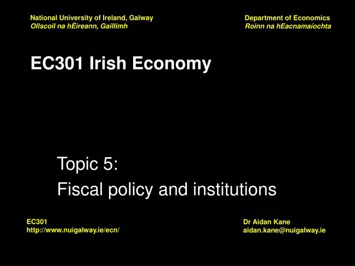 ec301 irish economy