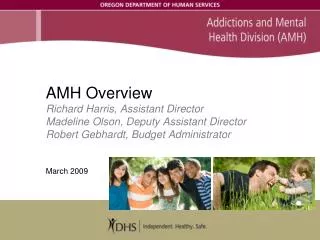 AMH vision and themes