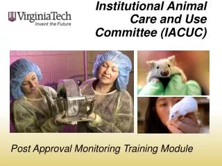Institutional Animal Care and Use Committee (IACUC )