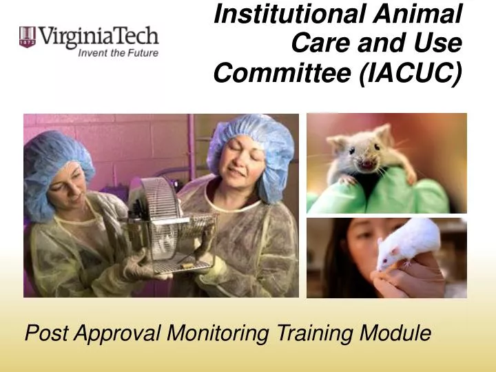 institutional animal care and use committee iacuc
