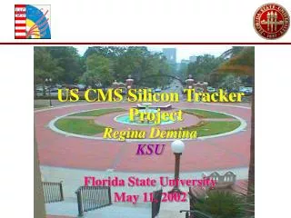 US CMS Silicon Tracker Project Regina Demina KSU Florida State University May 11, 2002