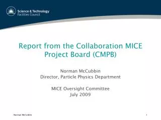 Report from the Collaboration MICE Project Board (CMPB)