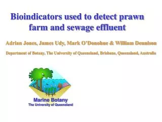 Bioindicators used to detect prawn farm and sewage effluent