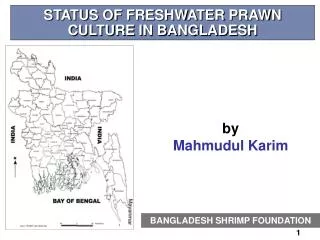 STATUS OF FRESHWATER PRAWN CULTURE IN BANGLADESH