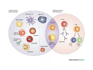 BIOT 307 MOLECULAR IMMUNOLOGY