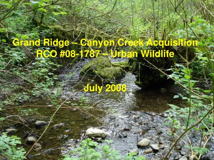 grand ridge canyon creek acquisition rco 08 1787 urban wildlife july 2008