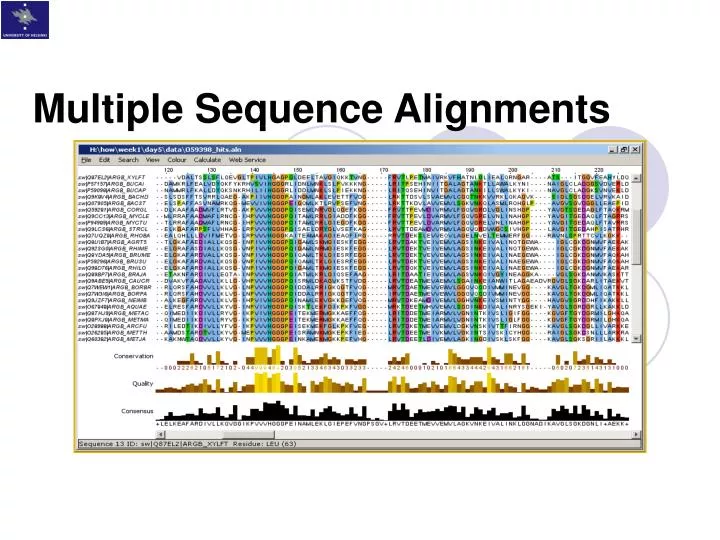 multiple sequence alignments
