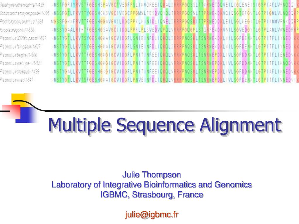 PPT - Multiple Sequence Alignment PowerPoint Presentation, free ...