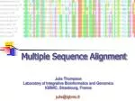 PPT - Multiple Sequence Alignment PowerPoint Presentation, free ...