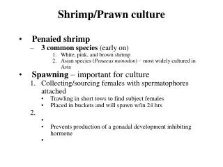 Shrimp/Prawn culture