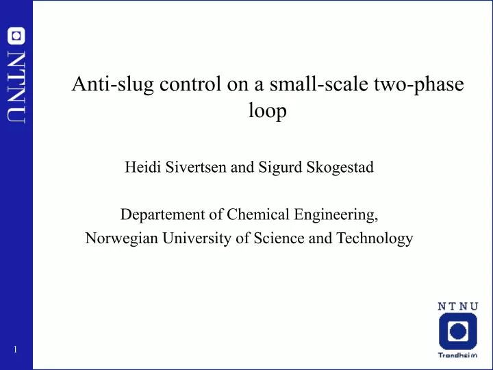 anti slug control on a small scale two phase loop