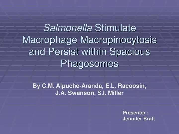 salmonella stimulate macrophage macropinocytosis and persist within spacious phagosomes