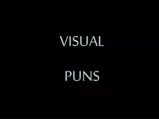 VISUAL PUNS