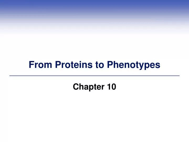 from proteins to phenotypes