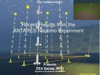 Recent Results from the ANTARES Neutrino Experiment