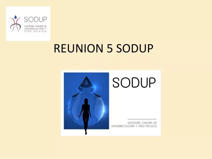 reunion 5 sodup