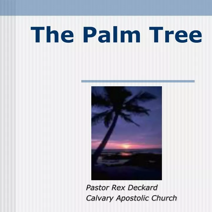 the palm tree