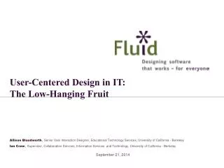 User-Centered Design in IT: The Low-Hanging Fruit