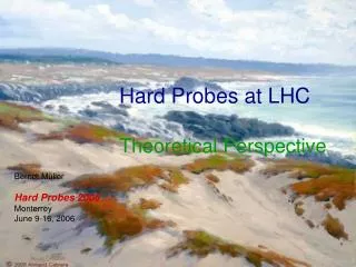 Hard Probes at LHC Theoretical Perspective