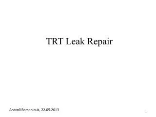 TRT Leak Repair