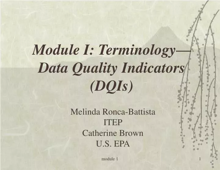 module i terminology data quality indicators dqis