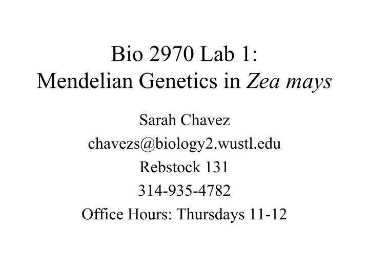 bio 2970 lab 1 mendelian genetics in zea mays