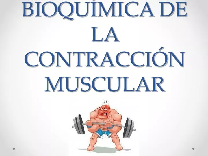 bioqu mica de la contracci n muscular