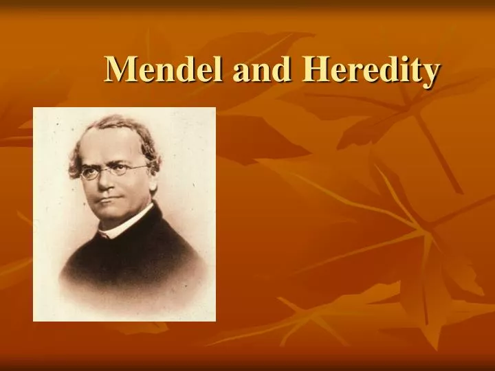 mendel and heredity