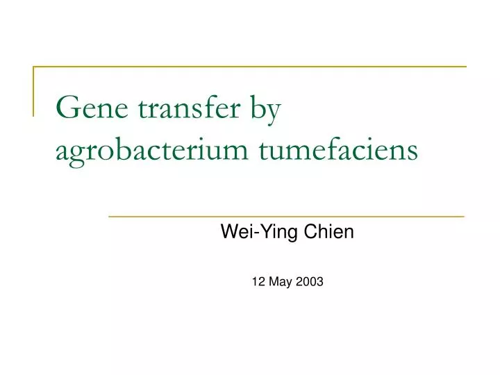gene transfer by agrobacterium tumefaciens