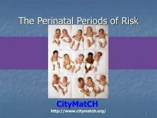 The Perinatal Periods of Risk