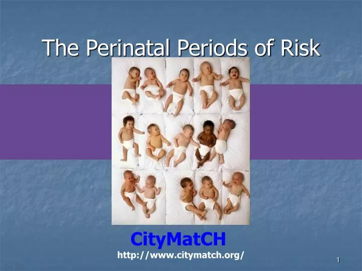 the perinatal periods of risk