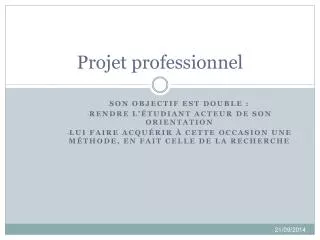 projet professionnel