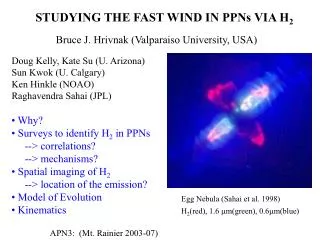 STUDYING THE FAST WIND IN PPNs VIA H 2 Bruce J. Hrivnak (Valparaiso University, USA)