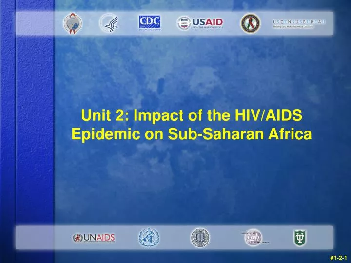 unit 2 impact of the hiv aids epidemic on sub saharan africa