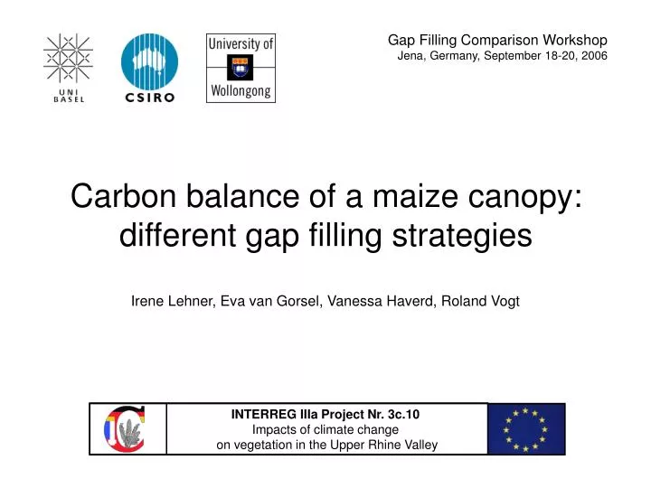 carbon balance of a maize canopy different gap filling strategies