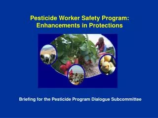 Pesticide Worker Safety Program: Enhancements in Protections