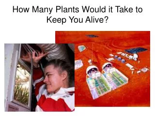 How Many Plants Would it Take to Keep You Alive?