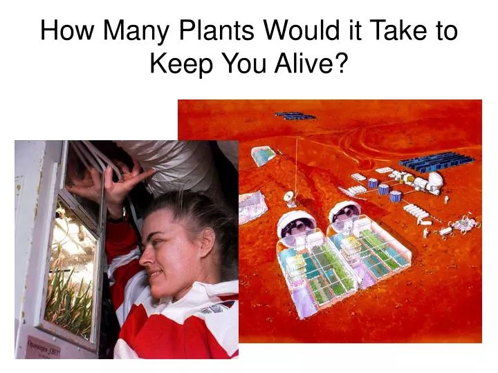 how many plants would it take to keep you alive