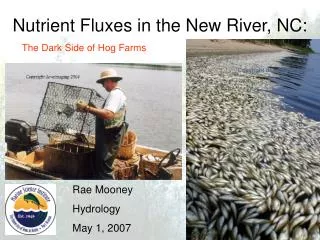 Nutrient Fluxes in the New River, NC: