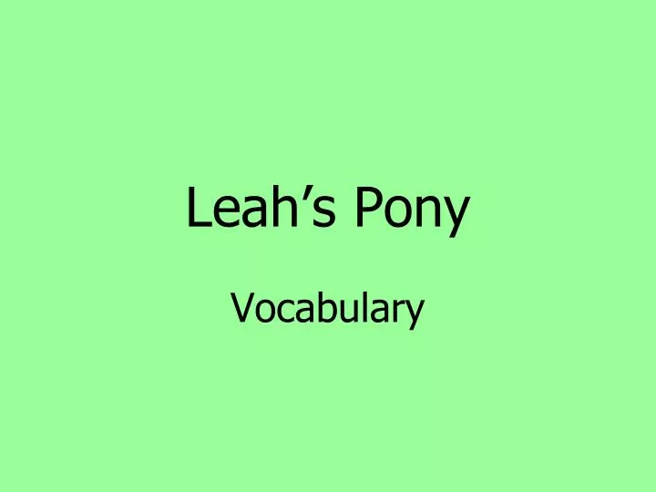 leah s pony