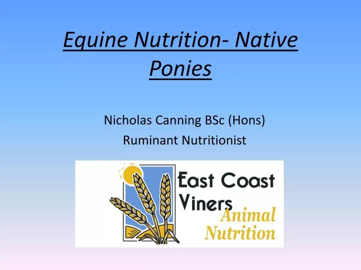 equine nutrition native ponies