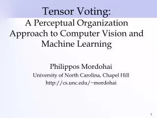 Tensor Voting: A Perceptual Organization Approach to Computer Vision and Machine Learning