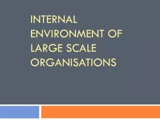 Internal environment of large scale organisations