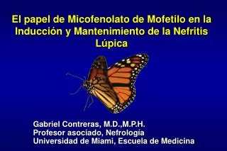 El papel de Micofenolato de Mofetilo en la Inducci ó n y Mantenimiento de la Nefritis L ú pica