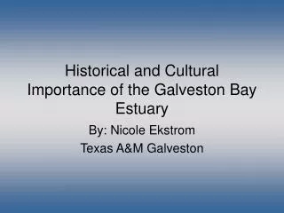 Historical and Cultural Importance of the Galveston Bay Estuary